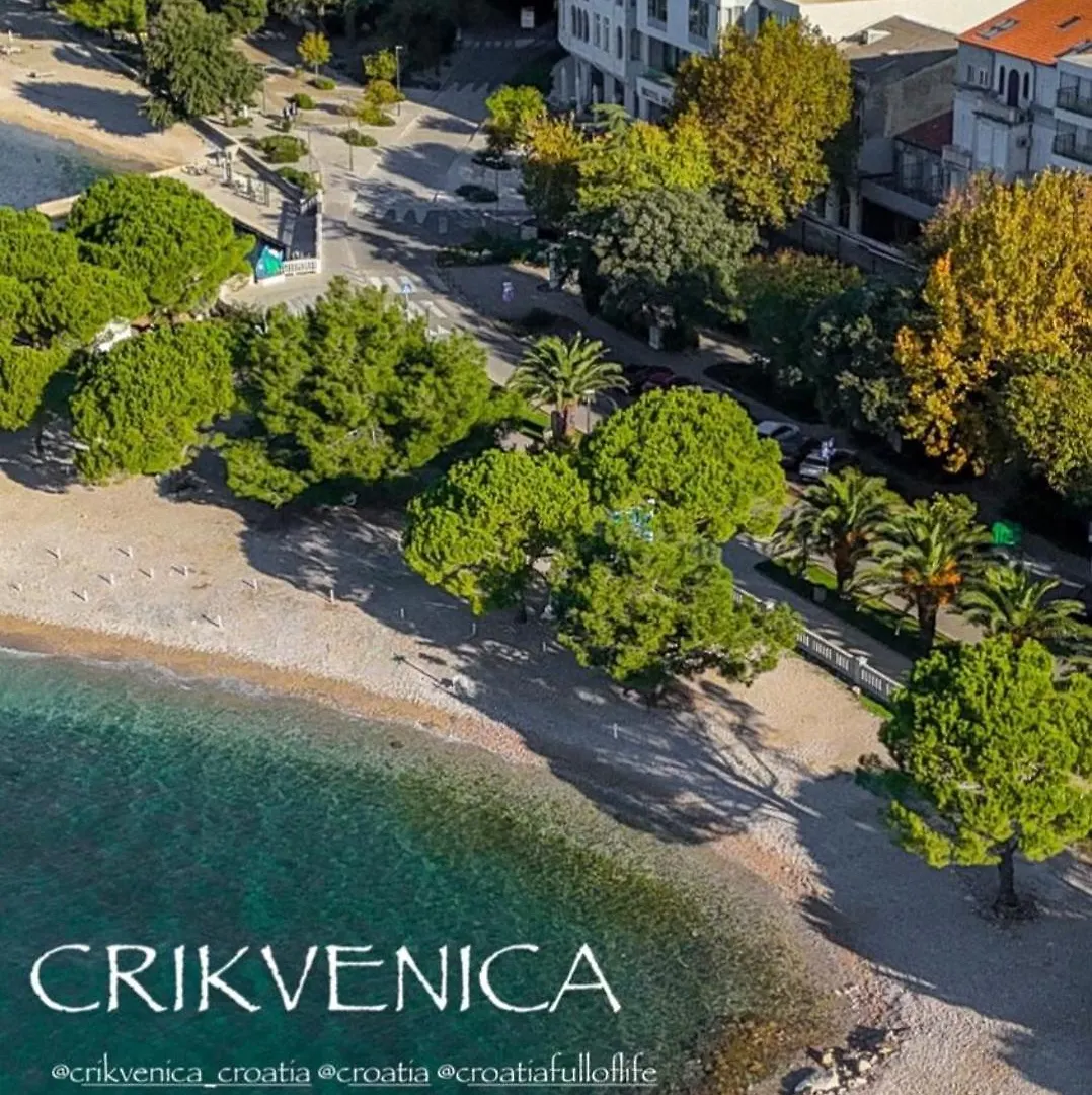 Apartment Apartman Zeus Crikvenica