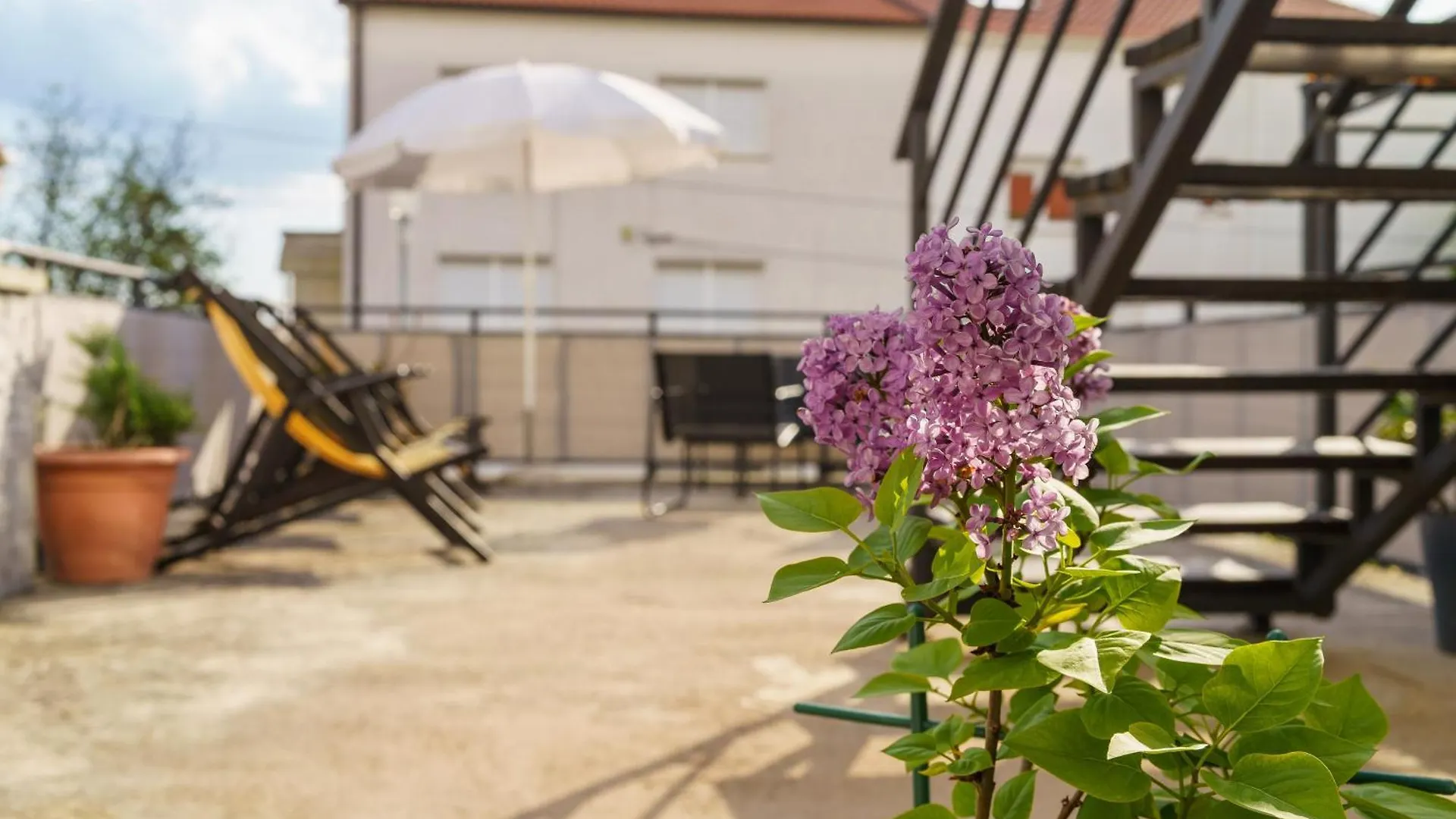 Apartment Apartman Zeus Crikvenica